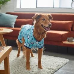 Frisco Happy Shark Dog & Cat Jersey PJs -FRISCO Sales 249122 PT7. SY630 V1614276183