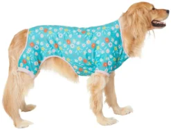Frisco Teal Floral Dog & Cat Jersey PJs -FRISCO Sales 249132 PT2. SY630 V1637674341