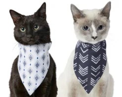 Frisco Boho Reversible Dog & Cat Bandana -FRISCO Sales 249137 PT3. SY630 V1637726871