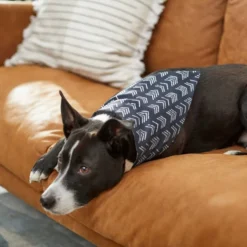 Frisco Boho Reversible Dog & Cat Bandana -FRISCO Sales 249137 PT5. SY630 V1637659054