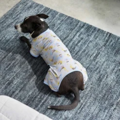 Frisco Sleepy Sloths Dog & Cat Jersey PJs -FRISCO Sales 249139 PT4. SY630 V1632426977