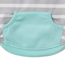 Frisco Striped Colorblock Dog & Cat Hoodie, Teal -FRISCO Sales 249146 PT6. SY630 V1614374508