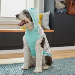Frisco Striped Colorblock Dog & Cat Hoodie, Teal -FRISCO Sales 249146 PT7. SY630 V1614105034