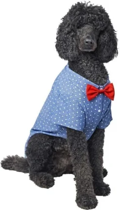 Frisco Polka Dot Chambray Dog & Cat Button Up Shirt -FRISCO Sales 249161 PT2. SY630 V1624607862