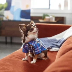 Frisco Plaid Dog & Cat Button Up Shirt, Navy Plaid -FRISCO Sales 249176 PT6. SY630 V1624598867