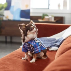 Frisco Plaid Dog & Cat Button Up Shirt, Navy Plaid -FRISCO Sales 249176 PT7. SY630 V1614104494