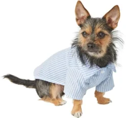 Frisco Striped Lightweight Dog & Cat Button Up Shirt -FRISCO Sales 249187 PT2. SY630 V1624605157