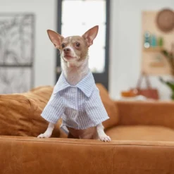 Frisco Striped Lightweight Dog & Cat Button Up Shirt -FRISCO Sales 249187 PT6. SY630 V1624593764