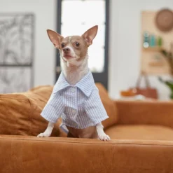 Frisco Striped Lightweight Dog & Cat Button Up Shirt -FRISCO Sales 249187 PT7. SY630 V1614100657