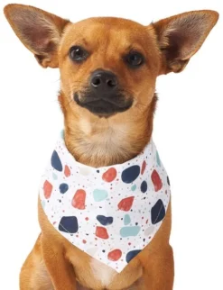 Frisco Colorful Terrazzo Dog & Cat Bandana 10 Frisco Colorful Terrazzo Dog & Cat Bandana -FRISCO Sales 249200 PT2. SY630 V1637681493