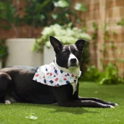 Frisco Colorful Terrazzo Dog & Cat Bandana 13 Frisco Colorful Terrazzo Dog & Cat Bandana -FRISCO Sales 249200 PT5. SY630 V1614612884