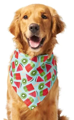 Frisco Fruity Summer Dog & Cat Bandana -FRISCO Sales 249204 PT2. SY630 V1637644629
