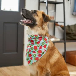 Frisco Fruity Summer Dog & Cat Bandana -FRISCO Sales 249204 PT4. SY630 V1637668676