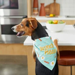 Frisco Brunch Please Dog & Cat Bandana -FRISCO Sales 249207 PT4. SY630 V1637671044