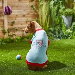 Frisco Mister Independent Dog & Cat T-Shirt -FRISCO Sales 249237 PT4. SY630 V1624612960