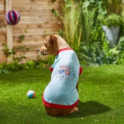 Frisco Mister Independent Dog & Cat T-Shirt -FRISCO Sales 249237 PT7. SY630 V1614362555