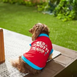 Frisco Red, White & Boop Dog & Cat T-Shirt 12 Frisco Red, White & Boop Dog & Cat T-Shirt -FRISCO Sales 249241 PT4. SY630 V1624599454