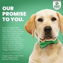 Frisco I Love Mommy Dog & Cat T-Shirt, Gray -FRISCO Sales 249277 PT6. SY630 V1647386806