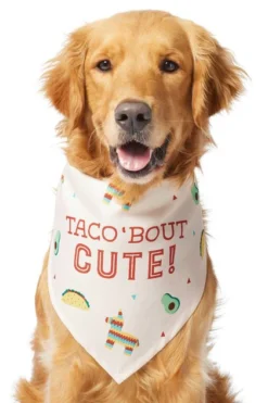 Frisco Taco 'Bout Cute Dog & Cat Bandana 9 Frisco Taco 'Bout Cute Dog & Cat Bandana -FRISCO Sales 249287 PT2. SY630 V1637727457