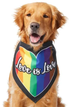 Frisco Love is Love Heart Dog & Cat Bandana -FRISCO Sales 249289 PT2. SY630 V1637725028