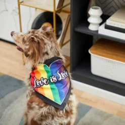 Frisco Love is Love Heart Dog & Cat Bandana -FRISCO Sales 249289 PT4. SY630 V1637686392