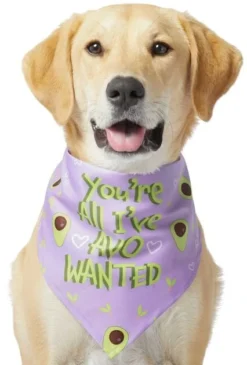 Frisco You're All I've Avo Wanted Dog & Cat Bandana -FRISCO Sales 249292 PT2. SY630 V1637723806