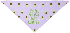 Frisco You're All I've Avo Wanted Dog & Cat Bandana -FRISCO Sales 249292 PT3. SY630 V1637705814