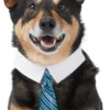 Frisco Stripes Dog & Cat Neck Tie -FRISCO Sales 249301 MAIN. SY630 V1614659236