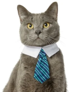 Frisco Stripes Dog & Cat Neck Tie 9 Frisco Stripes Dog & Cat Neck Tie -FRISCO Sales 249301 PT2. SY630 V1614658396