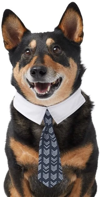 Frisco Boho Dog & Cat Neck Tie 3 Frisco Boho Dog & Cat Neck Tie