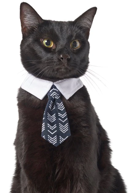 Frisco Boho Dog & Cat Neck Tie 5 Frisco Boho Dog & Cat Neck Tie - Image 3