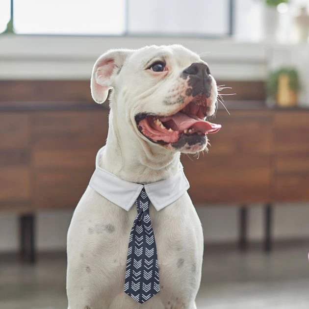 Frisco Boho Dog & Cat Neck Tie 7 Frisco Boho Dog & Cat Neck Tie - Image 5