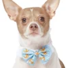 Frisco Nautical Anchor Dog & Cat Bow Tie 1 Frisco Nautical Anchor Dog & Cat Bow Tie -FRISCO Sales 249322 MAIN. SY630 V1614274617
