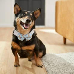 Frisco Nautical Anchor Dog & Cat Bow Tie -FRISCO Sales 249322 PT7. SY630 V1614274594