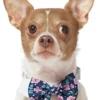 Frisco Floral Dog & Cat Bow Tie -FRISCO Sales 249325 MAIN. SY630 V1614274916