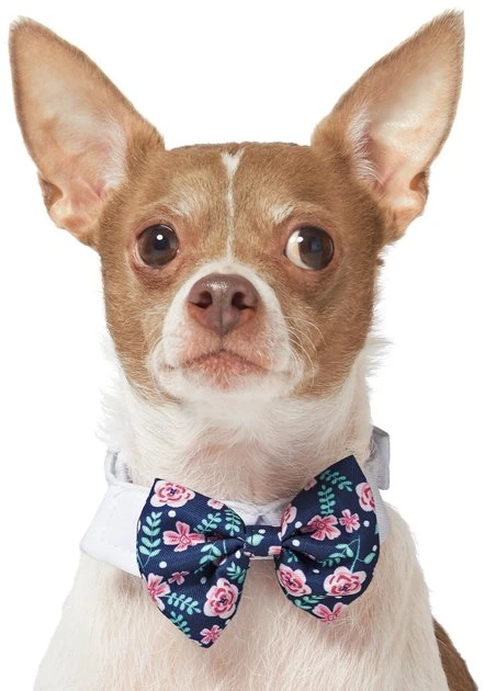 Frisco Floral Dog & Cat Bow Tie 3 Frisco Floral Dog & Cat Bow Tie