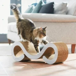 Frisco Cat Scratcher & Lounge Curl with Catnip -FRISCO Sales 249601 PT5. SY630 V1611325596