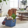 Frisco Rectangle Collapsible Pet Toy Storage Bin, Navy Herringbone 1 Frisco Rectangle Collapsible Pet Toy Storage Bin, Navy Herringbone -FRISCO Sales 250574 MAIN. SY630 V1615242905