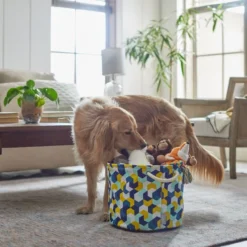 Frisco Round Collapsible Pet Toy Storage Bin, Yellow Geometric -FRISCO Sales 250587 PT3. SY630 V1615572147