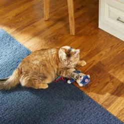 Frisco Baseball Bear Kicker Cat Toy -FRISCO Sales 252730 PT5. SY630 V1615814492