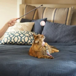 Frisco Baseball Teaser Cat Toy 7 Frisco Baseball Teaser Cat Toy -FRISCO Sales 252736 PT5. SY630 V1615814597