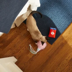 Frisco Baseball Snacks Cat Toy, 2 count -FRISCO Sales 252738 PT5. SY630 V1615814603