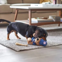 Frisco Baseball Bear Plush Squeaky Dog Toy, Blue -FRISCO Sales 252742 PT5. SY630 V1615814553