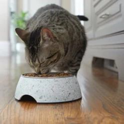 Frisco Quartz Design Stainless Steel Dog & Cat Bowl 12 Frisco Quartz Design Stainless Steel Dog & Cat Bowl -FRISCO Sales 253042 PT2. SY630 V1616594192