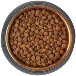 Frisco Matte Black Design Light Copper Stainless Steel Dog & Cat Bowl -FRISCO Sales 253050 PT5. SY630 V1616526818