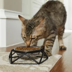 Frisco Elevated Stainless Steel Dog & Cat Bowl with Metal Stand 12 Frisco Elevated Stainless Steel Dog & Cat Bowl with Metal Stand -FRISCO Sales 253054 PT2. SY630 V1616594197