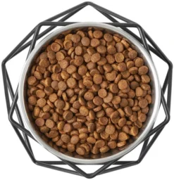 Frisco Elevated Stainless Steel Dog & Cat Bowl with Metal Stand 15 Frisco Elevated Stainless Steel Dog & Cat Bowl with Metal Stand -FRISCO Sales 253054 PT5. SY630 V1616595535