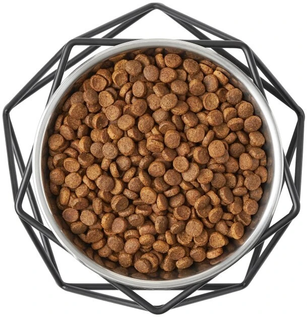 Frisco Elevated Stainless Steel Dog & Cat Bowl with Metal Stand 8 Frisco Elevated Stainless Steel Dog & Cat Bowl with Metal Stand - Image 6