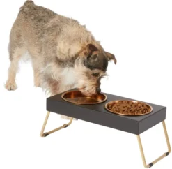 Frisco Copper Stainless Steel Elevated Foldable Double Dog & Cat Bowls