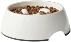 Frisco Melamine Slow Feed Dog & Cat Bowl with Gold Trim, Cream 13 Frisco Melamine Slow Feed Dog & Cat Bowl with Gold Trim, Cream -FRISCO Sales 253067 PT3. SY630 V1615312295